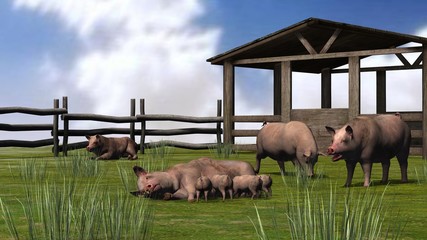 Pig with piglets in the grass - nature background