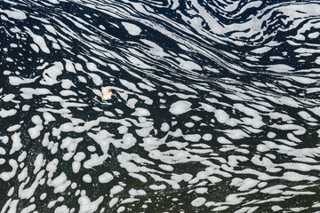 Detalle del agua en movimiento y espuma blanca. Formas y texturas.