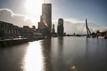 Erasmus brug over de Maas in Rotterdam