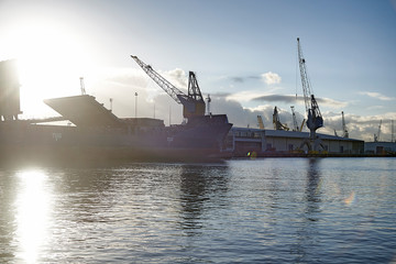 Fototapeta premium Cranes at work loading and unloading ships at the Port of Rotterdam