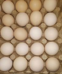 Fresh chicken eggs for sale. Many eggs in boxes