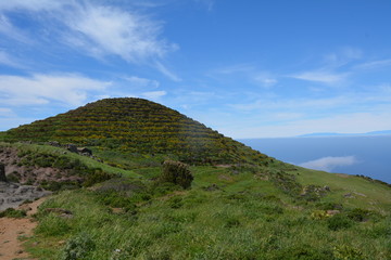 Fototapeta na wymiar Tenerife, El Palmar.