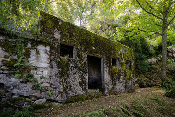 Fototapeta na wymiar Alsace Mountain vogesen world war one memorial ruins