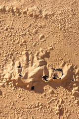 Paint peeling off wall