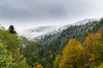 Germany, Magic black forest nature landscape in the beginning of winter