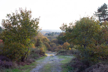 Outdoor autumn landscape