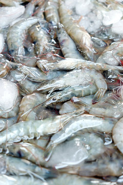 Close up image of Fresh shrimp