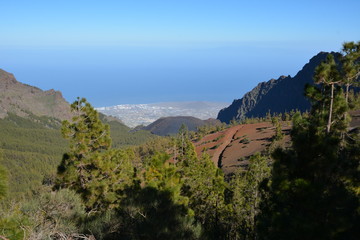 Fototapeta na wymiar Tenerife, Parc national.