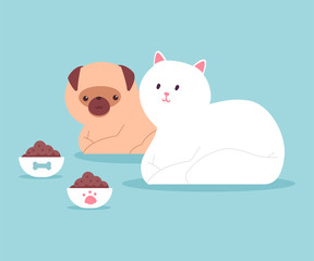 Cat and dog are sitting near the bowls of food. Vector cartoon flat illustration of pets isolated on background.