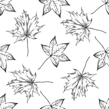 Seamless pattern with black and white maple leaves
