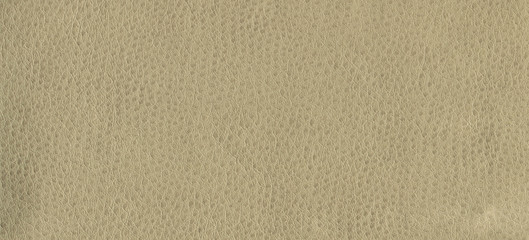 A textured light brown leather background for designers