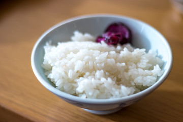白ごはん