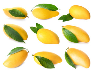 Set of whole ripe mangoes with leaves on white background