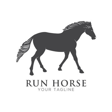 HORSE 2