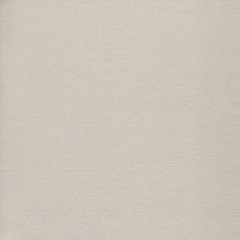 Gray, gentle, light textured leather background for design.