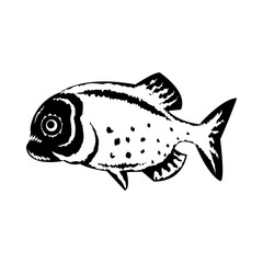 Vector, flat image of a fish of a piranha on an isolated white background
