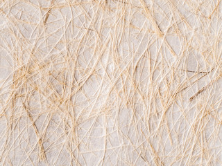 Closeup of handmade paper texture background leaves and eco design concept idea