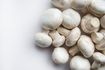 champignons close up on white background