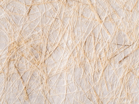 Closeup of handmade paper texture background leaves and eco design concept idea - Powered by Adobe