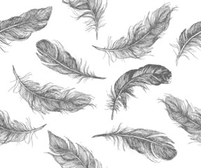 Feather Pattern hand drawn