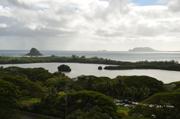 Landschaft Felsen Insel Meer