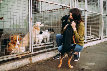 Young woman choosing which dog to adopt from a shelter. - obrazy, fototapety, plakaty