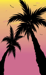 Fototapeta na wymiar Abstract landscape of palm tree silhouette