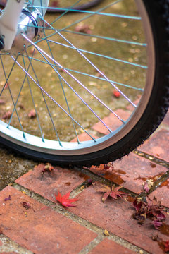 自転車と紅葉