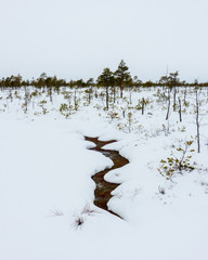 Winter trip through the Yelnya Bog National Landscape Reserve, Belarus