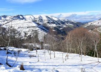 Fototapeta na wymiar Winter landscape with snowy mountains and trees. Slope covered with snow and valley with green fields and forest. Ancares Region, Lugo Province, Galicia, Spain.