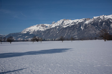 Winter im Ruggeller Riet, Liechtenstein, Rheintal