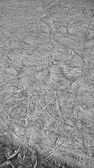 Ice Skate Tracks