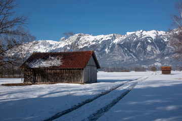 Winter im Ruggeller Riet, Liechtenstein, Rheintal
