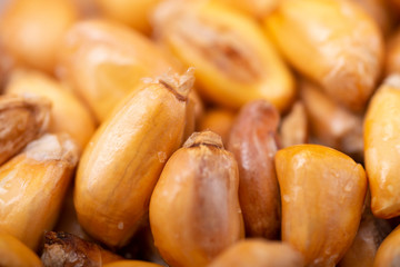 Canchita Cancha Peruana Serrana Toasted Corn