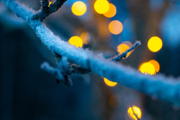 Frozen winter branch with blurry lights in the background
