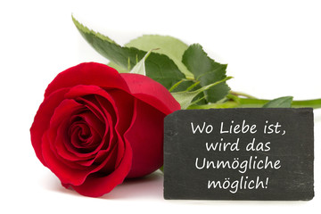 Wo Liebe ist, wird das Unmögliche möglich!