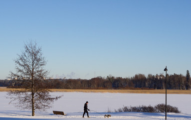 Winter Landscape of Finland