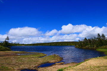 初夏の八幡沼。十和田八幡平国立公園。八幡平　岩手　日本。６月下旬。