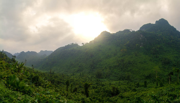 Dschungellandschaft im Phong-nha kebang Nationalpark