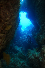 Naklejka na ściany i meble Caves of Claudia Reef at the Red Sea, Egypt