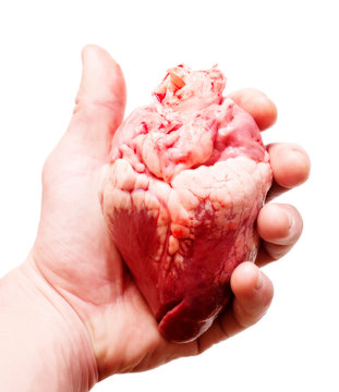 heart in hand isolated on white