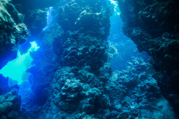 Caves of Claudia Reef at the Red Sea, Egypt