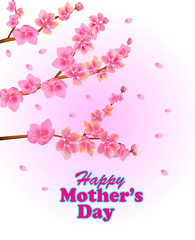 Mother's day card on a white background pink spring flowers on tree branches
