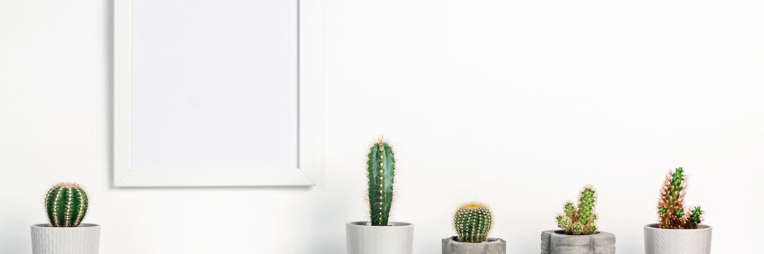 Shelf on a white empty wall. Copy space. Place for text. Scandinavian style. White empty frame mockup. Cactuses in concrete pots set in a row. Panoramic real photo