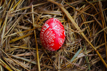 red easter egg in nest