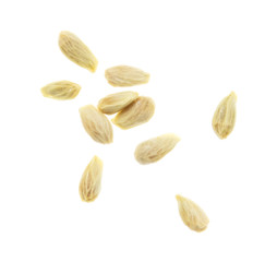 Seeds in tangerines on a white background