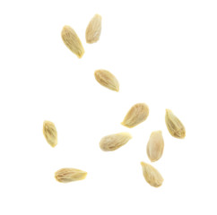 Seeds in tangerines on a white background