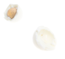 Peeled boiled eggs on a white background
