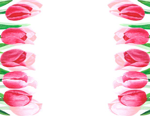 Flowers Tulips watercolor illustration botanical spring decoration design greeting card invitation