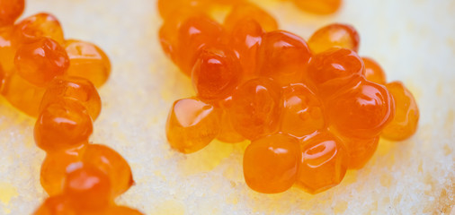 Red caviar on bread as a background